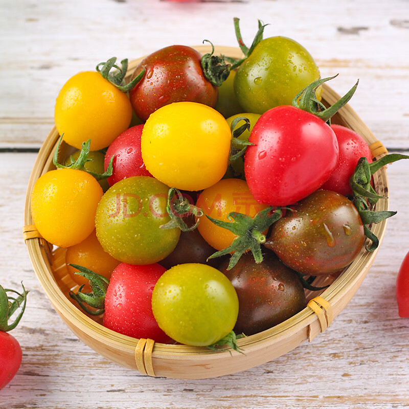 娇瑰 精选品质 彩色圣女果新鲜小番茄黄色红色绿色迷彩4色混装小