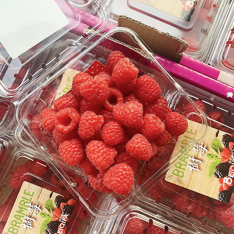 新鲜树莓红树莓覆盆子水果树莓果稀有热带水果树莓鲜果 2盒