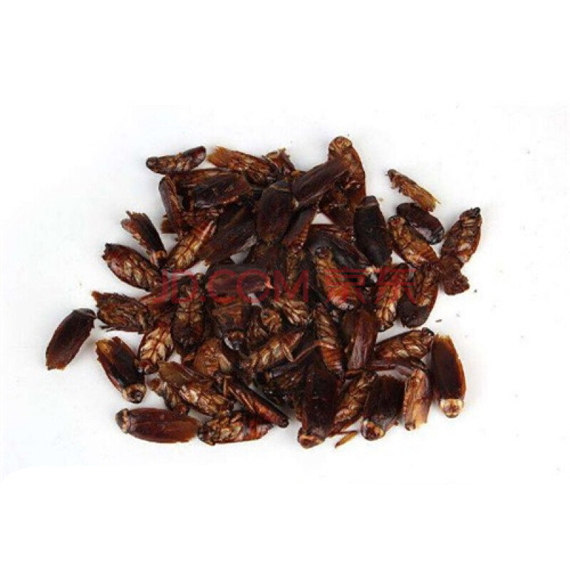 中药材 蟑螂 偷油婆 蟑螂干 500克一斤磨粉