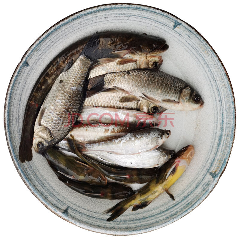 鲜活食用活体小河白条刁子土鲶鱼黄颡鱼鲫鱼黑鱼新鲜杂鱼溪鱼 3斤