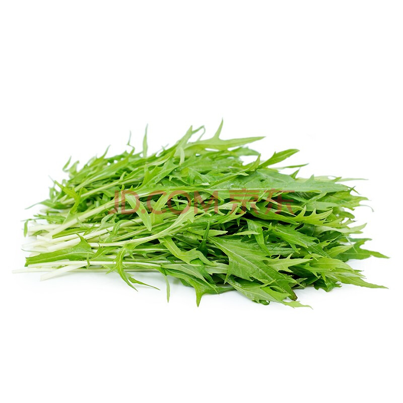 人人一亩田 有机蔬菜京水菜250g水晶菜白茎千筋菜绿叶菜炒食上海崇明