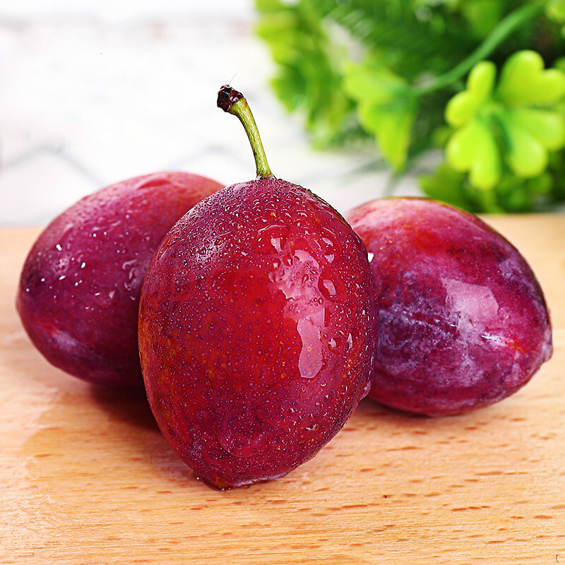 澳洲新鲜西梅4斤时令孕妇水果西梅 2斤