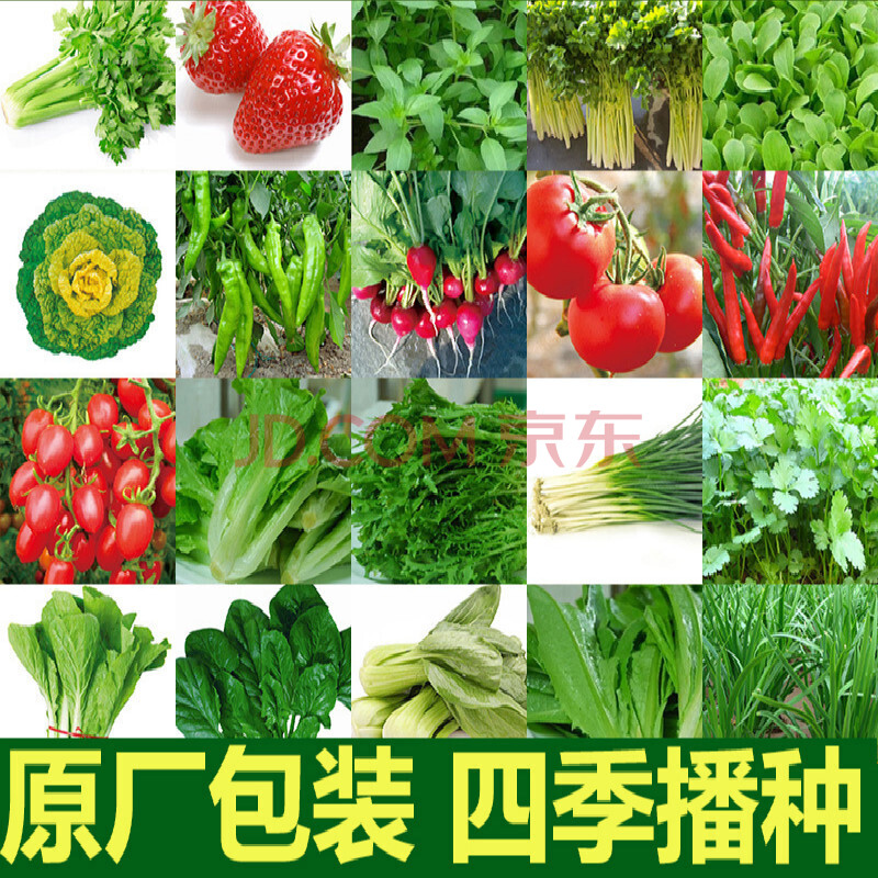 草庄 家庭蔬菜种子套餐各种常种蔬菜大全菜种子家庭菜籽种植 30款原装