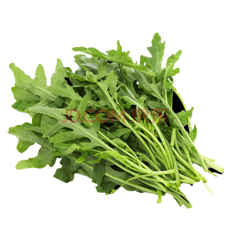 芝麻菜新鲜芝麻叶火箭菜即食新鲜西餐蔬菜生菜沙拉食材 250克