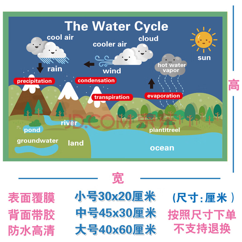 海报英语启蒙教具教室装饰贴纸英文墙贴单词贴图布置 w435-12 水循环
