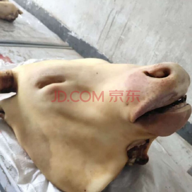 火烧牛头 正宗新鲜保质量 腾旺纳跃 41-43带牛舌【图片 价格 品牌