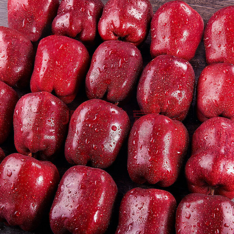 甘肃蛇果天水花牛苹果3/5/10斤新鲜水果粉面刮泥 精选大果18枚装