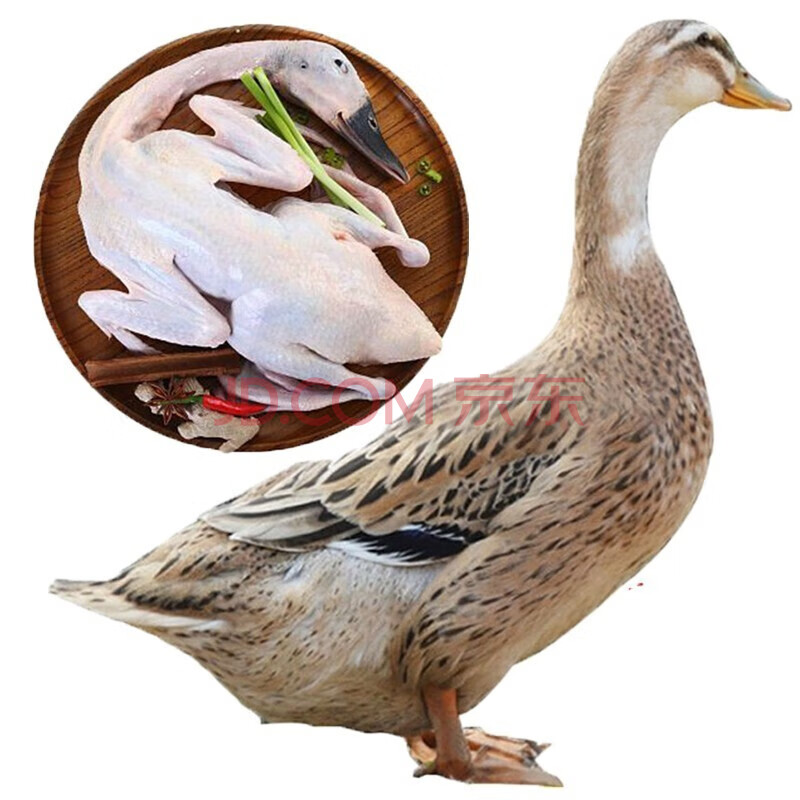 华英 赣南散养生态稻田麻鸭净重 鸭肉生鲜新鲜冷冻生鸭子 稻田鸭 0.