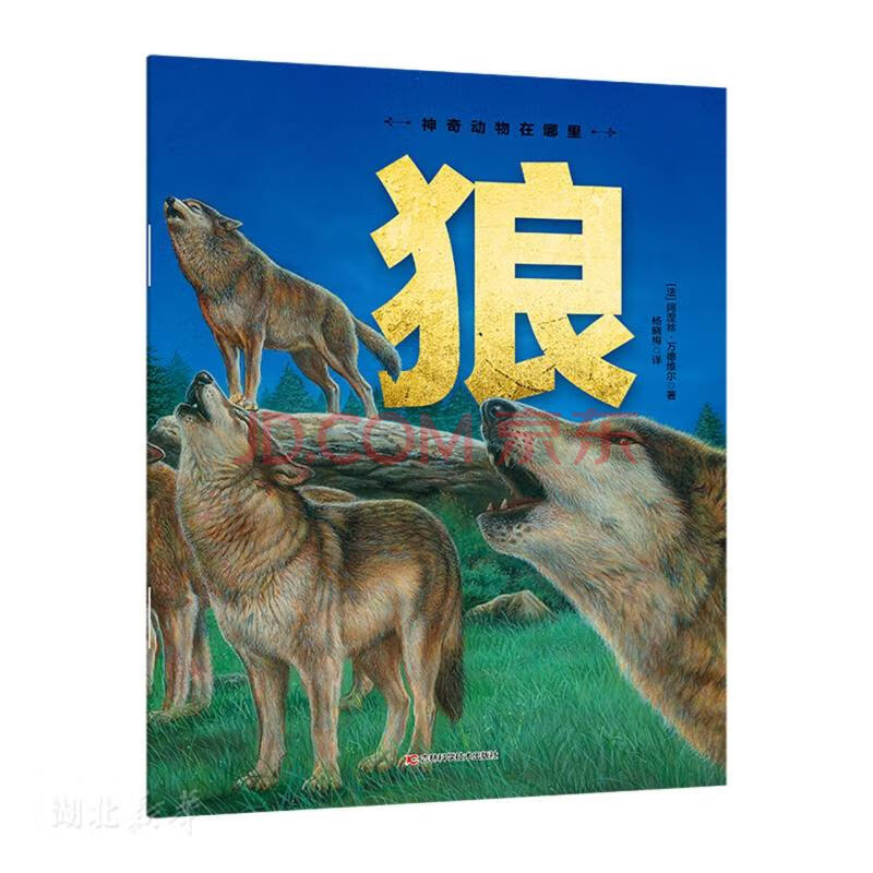 神奇動物在哪裡-狼