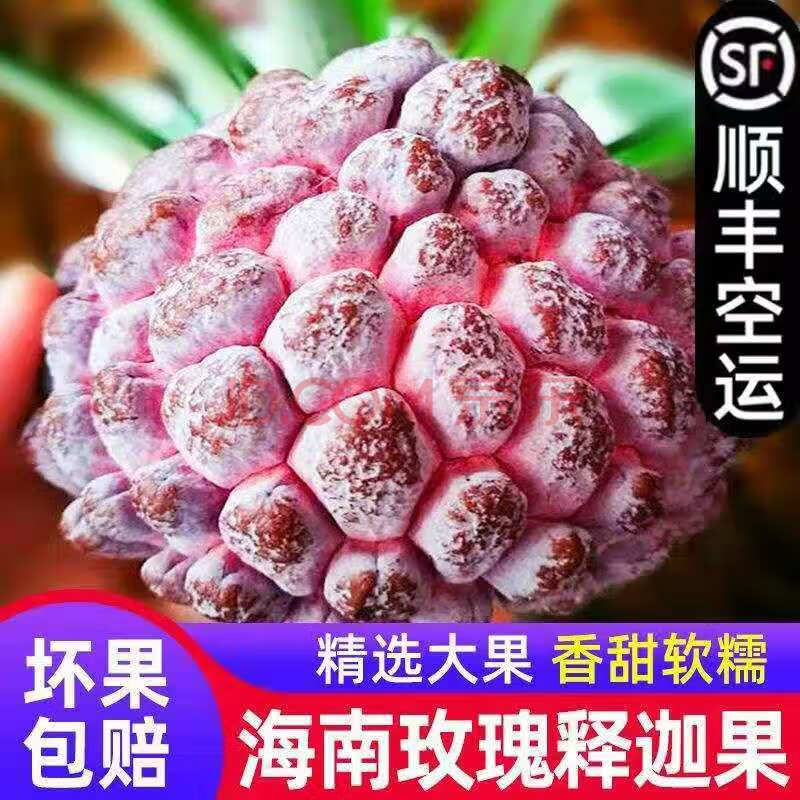 轻恋 海南玫瑰释迦水果新鲜牛奶释迦摩尼果孕妇佛头果番 1500g 精选大