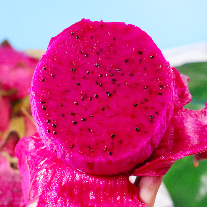 海南红心火龙果 红肉蜜宝金都一号应季水果整箱 8斤【超值装】 人工