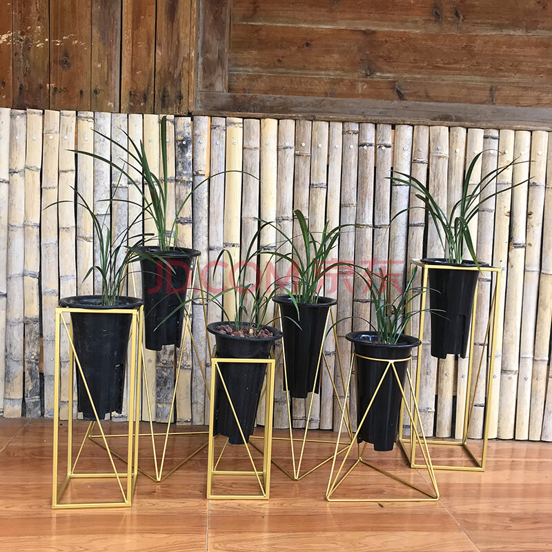 威赛星 兰花架专业兰花架北欧阳台兰花架兰架专用架