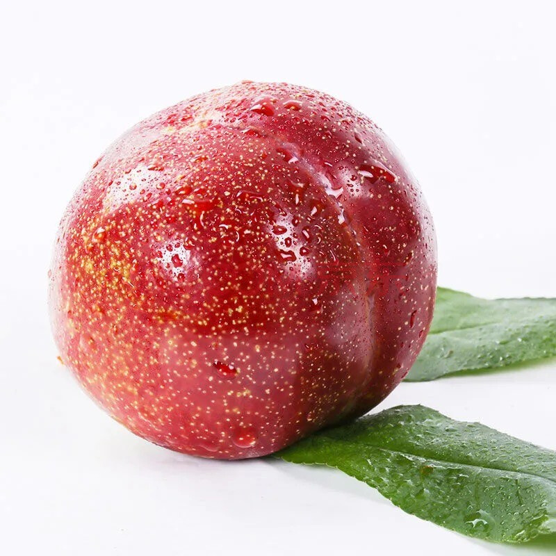 鸡心李子 当季新鲜水果 鲜李子 澳大利亚水果 高甜 2斤 优选装