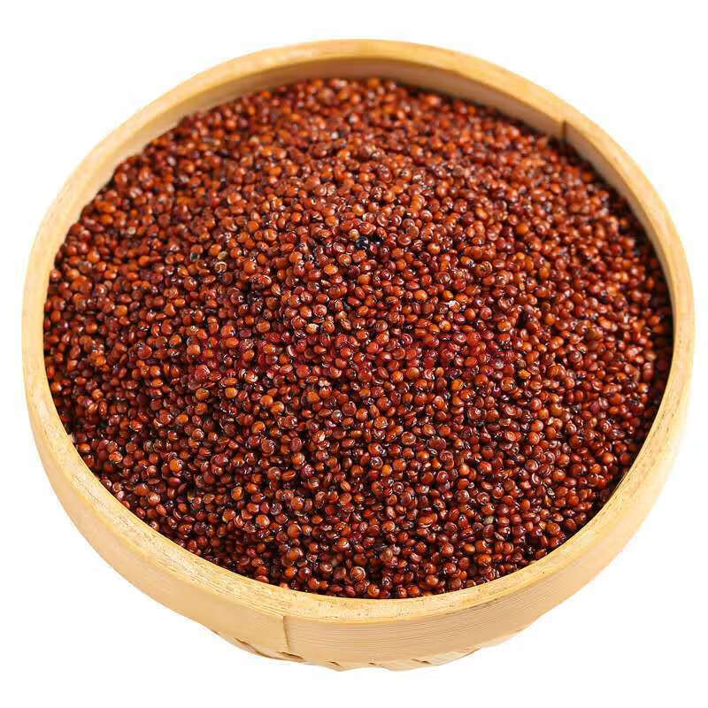 新红藜麦青海高原一级红藜麦米高原藜麦米辅食代餐粥红藜麦批发 红