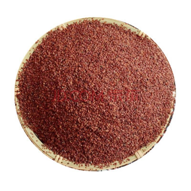 伟博天仙子500克 野生南天仙子中药材天仙子中草药南天仙子茶