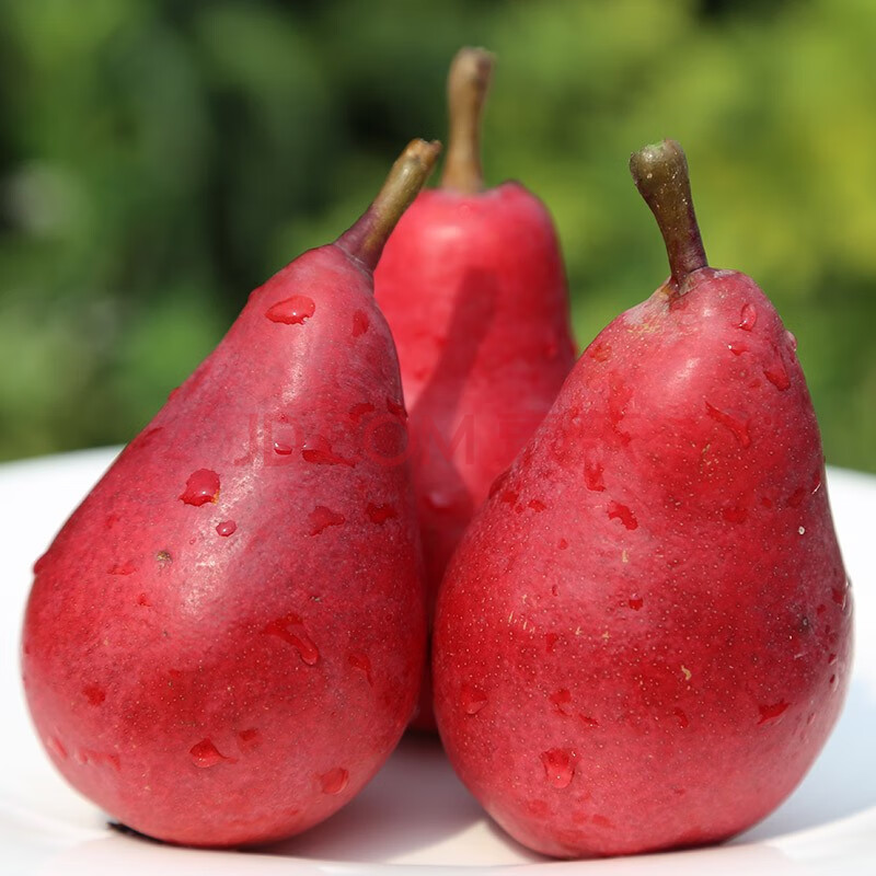 现摘现发红啤梨3斤/5斤软糯多汁 实惠5斤装