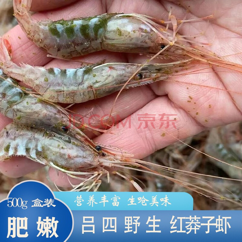 鲜礼四海野生红莽子虾海虾红毛虾呛虾醉虾