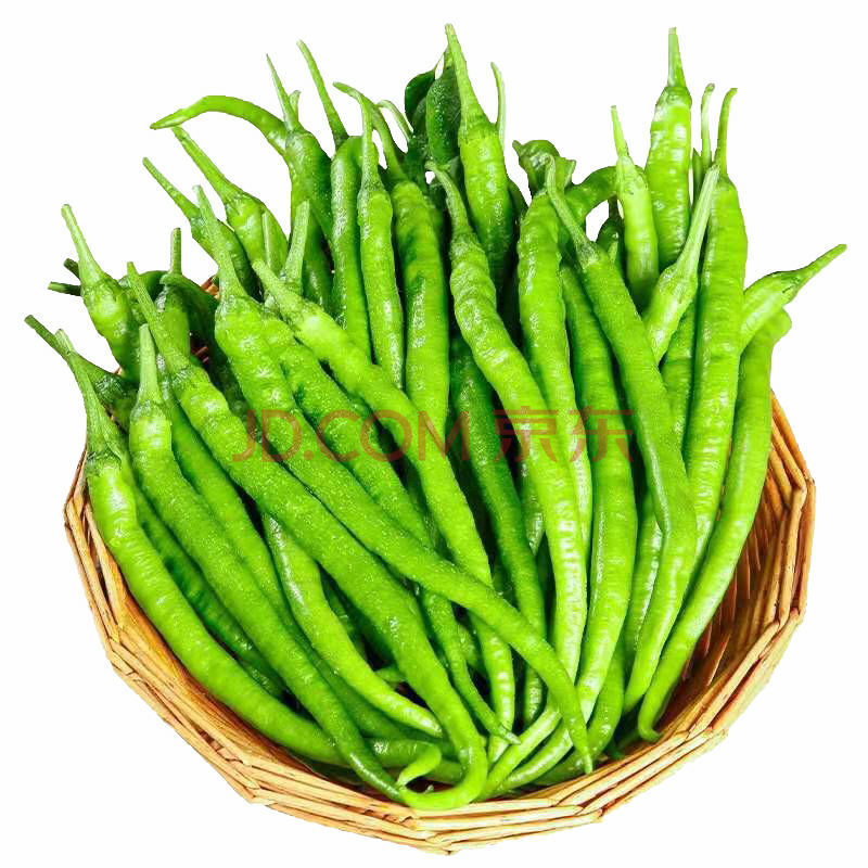 梓乐果 现摘线椒二荆条批发新鲜辣椒农家种植长尖椒 二斤二荆条(超值)