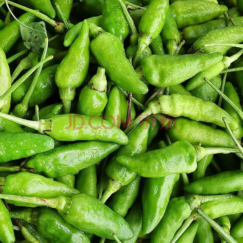 广西野山椒 1/2/3/5斤 特辣指天椒 朝天椒 小米泡椒 5斤装小指天辣椒