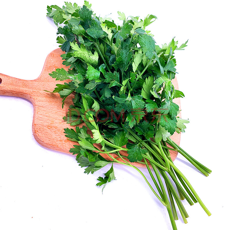 新鲜芹500g 欧芹香芹法香菜巴西里香西餐食材