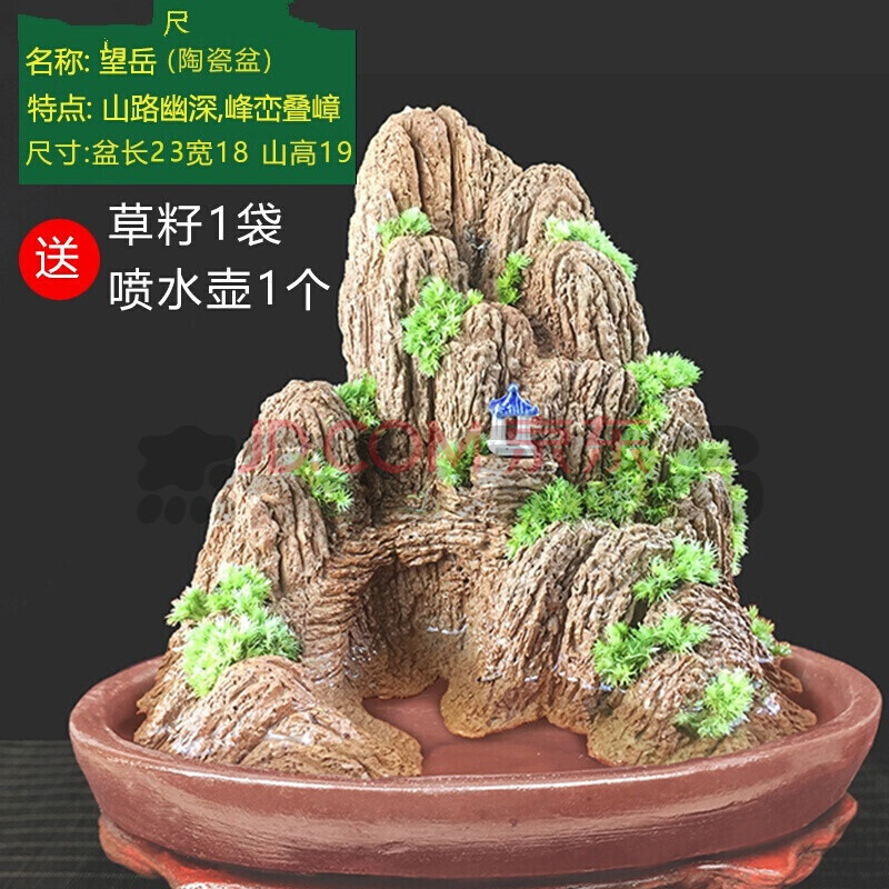 吸水石假山盆景摆件上水石鱼缸造景微景观室内观赏石植物小奇石头