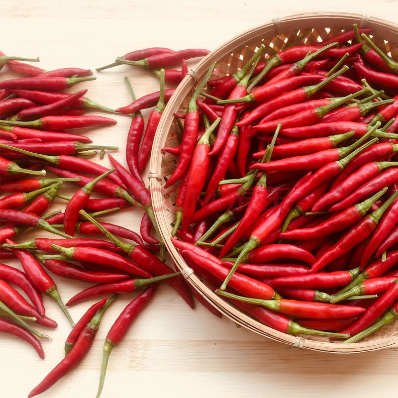 新鲜小米红辣椒红小米椒批发 现摘现发朝天椒 小米椒带箱5斤