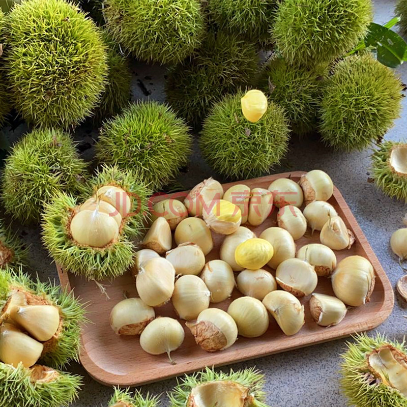 2021新货嫩栗子 白皮新鲜生板栗白壳毛栗子新货带刺毛球发货 5斤新鲜