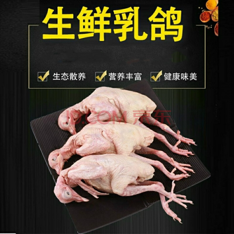 鮮乳鴿現殺新鮮鴿子肉農家五穀雜糧散養土鴿營養老鴿煲湯 羅菲迪新 5