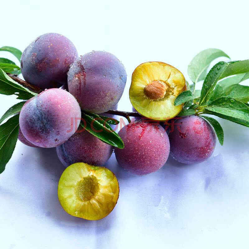 广西 河池 龙滩珍珠李 精选鲜果 酸甜爽口 2.5kg/5kg 5kg