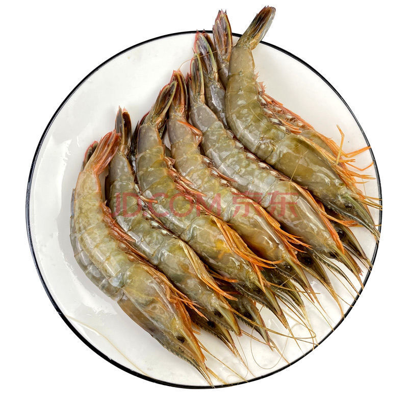 【好物推荐】鲜美惊舟山特产东海滑皮虾鲜活冷冻新鲜海虾鹰爪虾海鲜