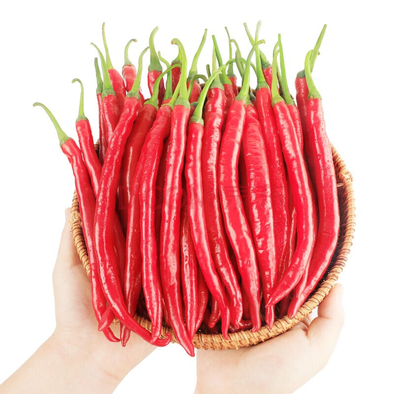 新鲜红线椒5斤特辣二荆条红美人椒顺丰 红线椒2500g(顺丰)