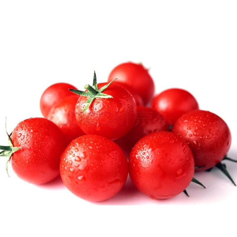 菜友红珍珠小番茄种子 阳台庭院盆栽种植小西红柿红圣女种子蔬菜种子