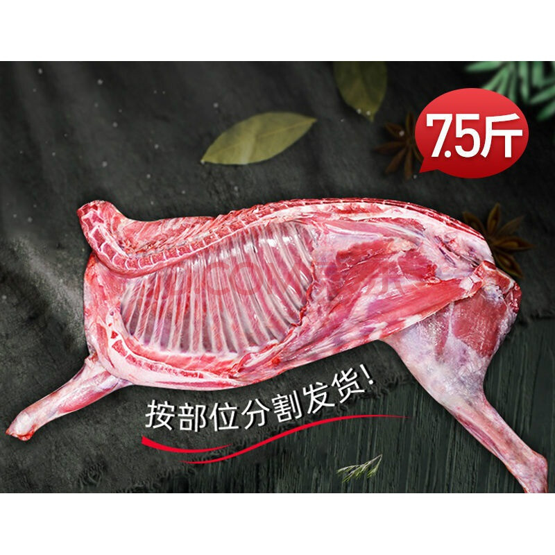 內蒙古新鮮現殺半隻羊羊肉燒烤生羊肉食材 羊前腿【5斤】