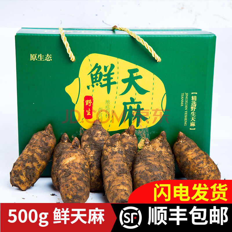 云南新鲜天麻昭通小草坝原产地天麻500g鲜天麻现挖非野生特级干货