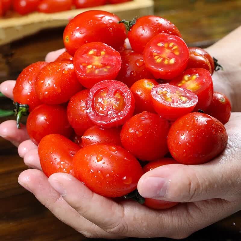 【顺丰直达】新鲜圣女果5斤 水果自然熟西红柿子千禧果生吃小番茄菜