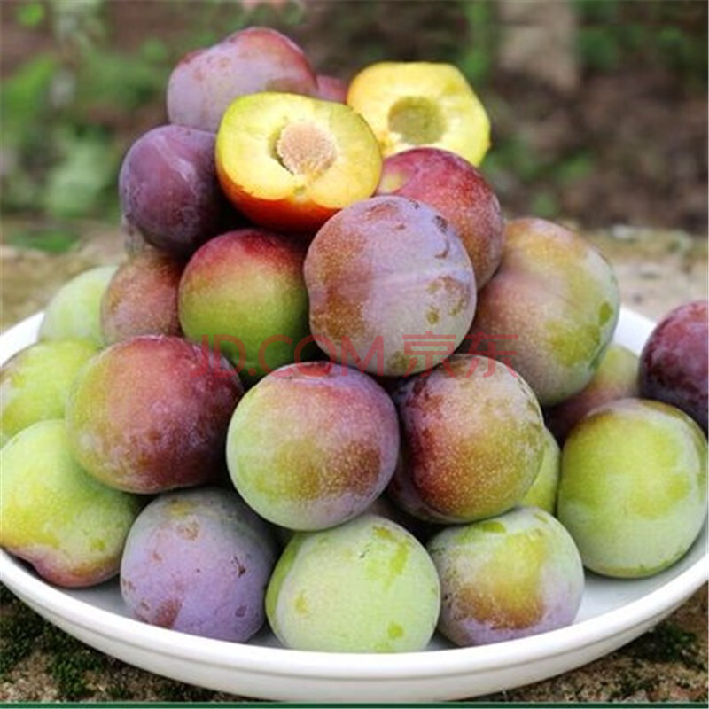 四川半边红李子 新鲜应当季孕妇水果 茵红李脱骨现摘整箱 3斤