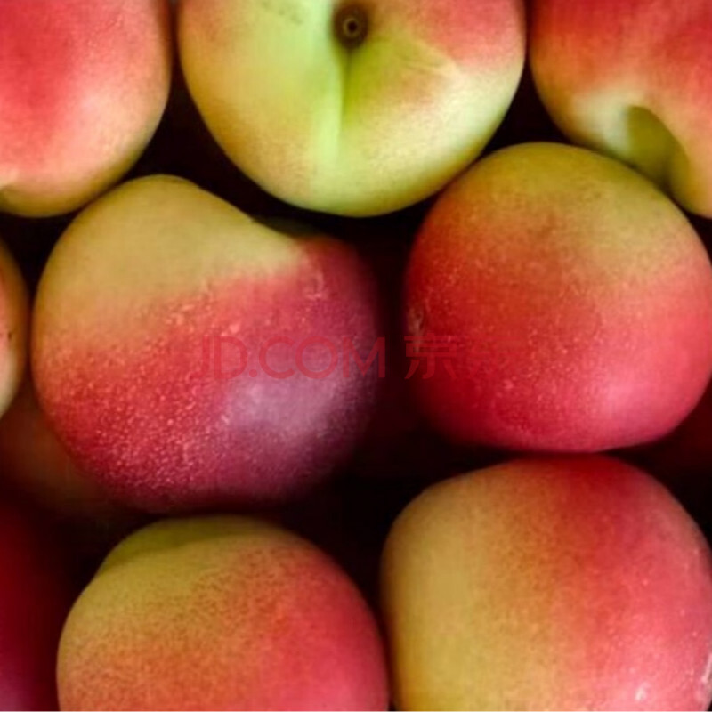 新疆珍珠枣油桃新鲜水果蜜桃白心枣味小桃子 9斤