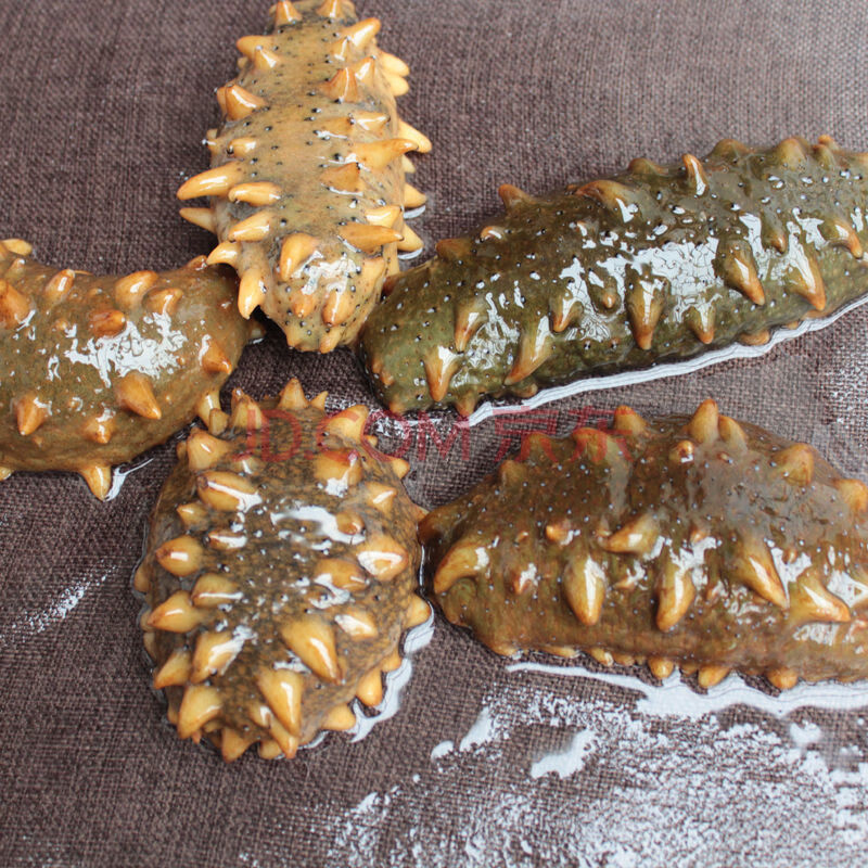 鲜活海参刺参辽参新鲜 3-7只/斤 【活海参3斤】煮后发货