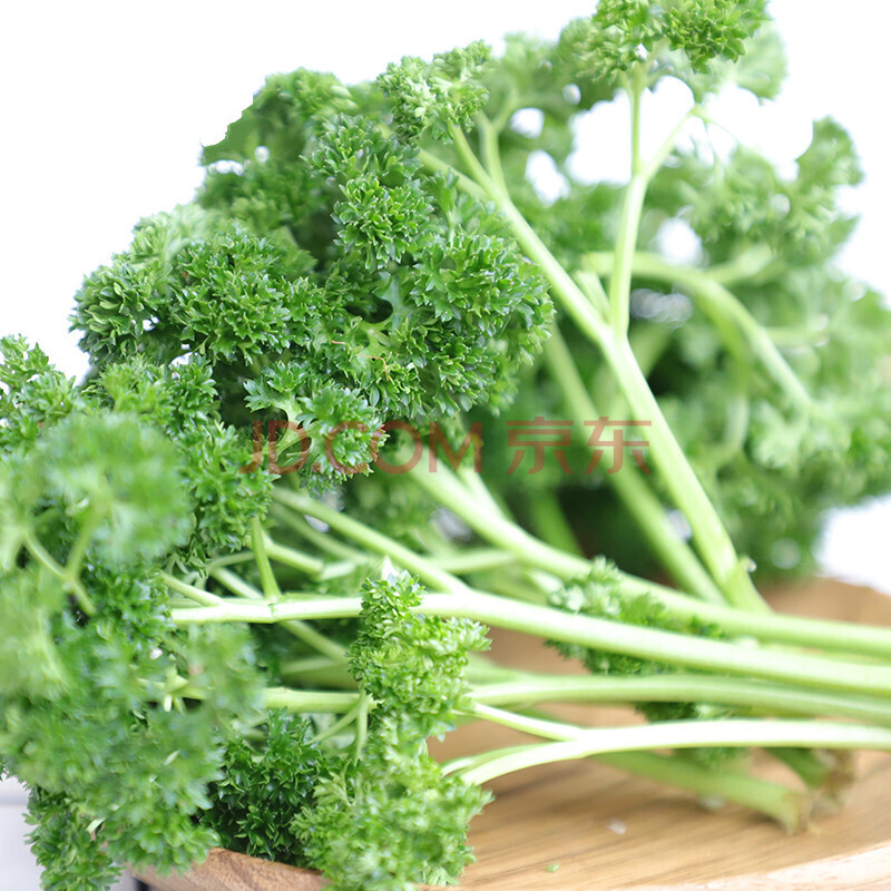 新鲜荷兰芹皱叶欧芹叶西餐蔬菜蕃茜洋芫荽法香 1000g