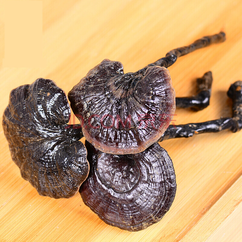 竹灵芝灵芝 林下长脚竹灵芝 竹灵芝1000g【图片 价