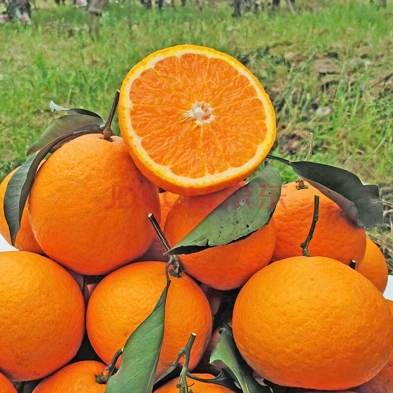 四川青见新鲜柑橘鲜嫩多汁新鲜应季水果时令整箱5/9斤 孕妇橘子桔子