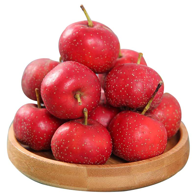 【现摘现发】 新鲜山楂果鲜山楂 水果 冰糖葫芦罐头原料山楂零食制作