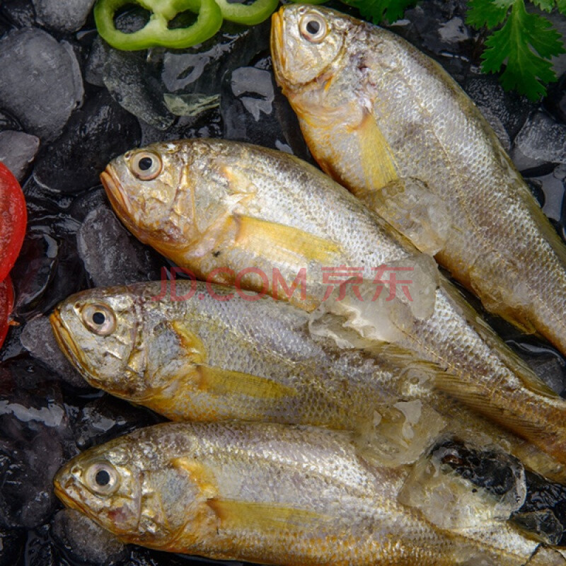 黃花魚 3斤東海野生小黃魚新鮮冷凍黃花魚深海海鮮椒鹽幹炸 m4