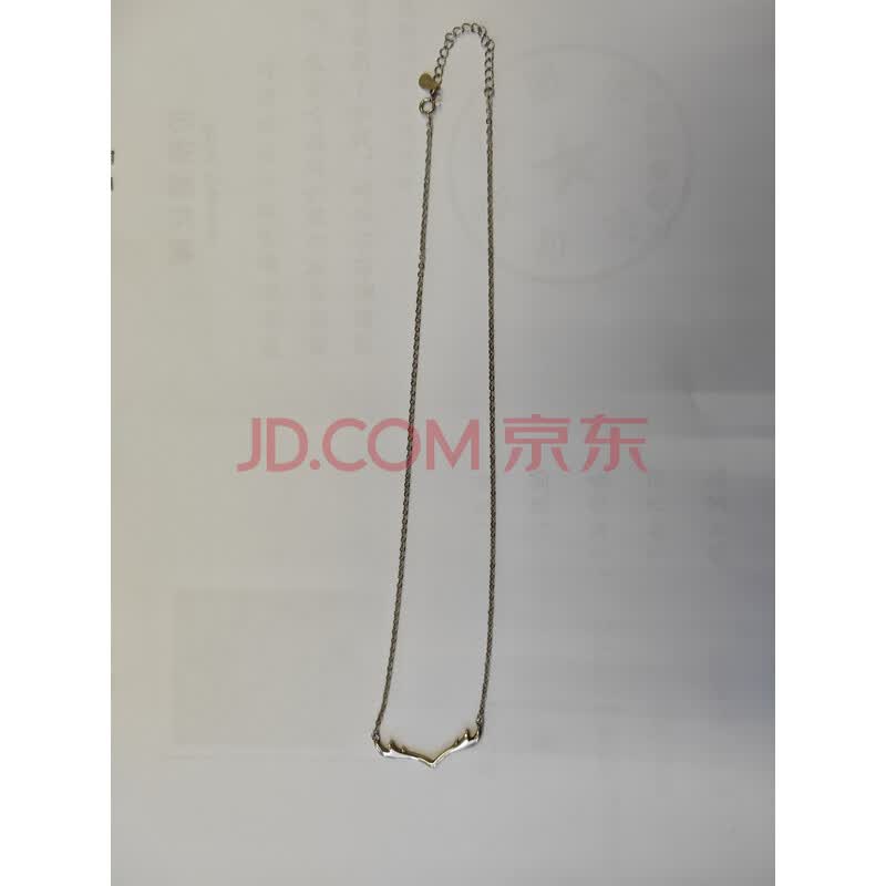（一拍）（刑）非贵金属项链一件－海关/政府-京东拍卖