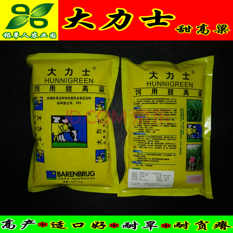 大力士甜高粱种子 百绿集团进口 配资料保正宗 附实物照 饲用牧草