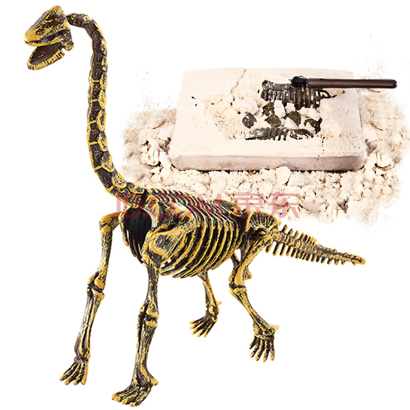 玩控 考古挖掘玩具套装 恐龙化石模型骨架仿真 儿童手工玩具 腕龙
