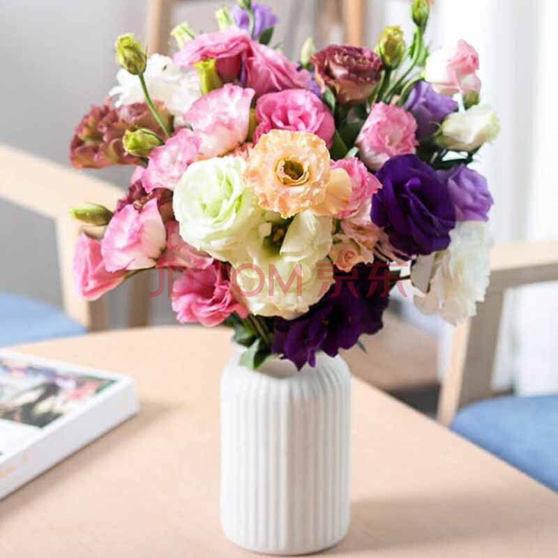 鲜花猫 洋桔梗鲜切花家用水养花鲜花束包邮 洋桔梗混搭(约30朵花)