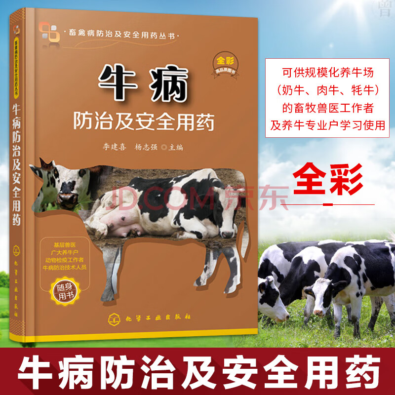 牛病防治及安全用药 养牛书籍大全 养牛技术大全 牛病防治实用手册 牛