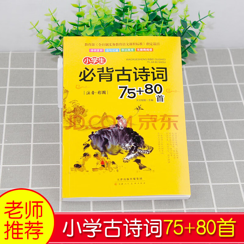 古詩詞75 80首 注音彩圖版 小學一二三四五六年級經典古文詩詞鑑賞