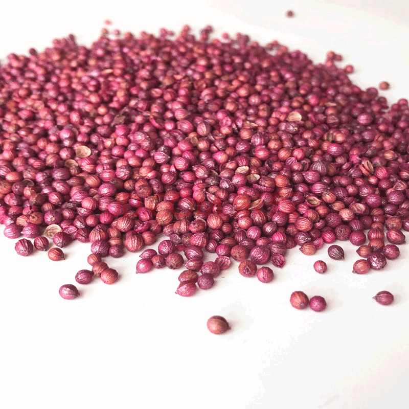 蔬菜种子 葱韭菜香菜大番茄牛角椒红苋菜黄瓜茼蒿黄秋葵红苋菜胡萝卜